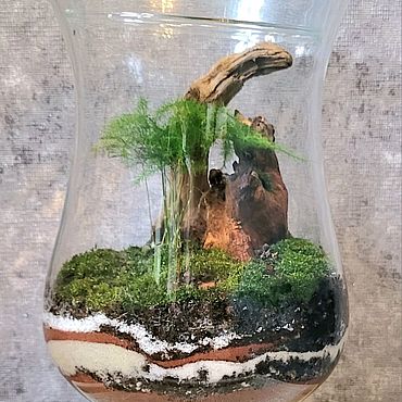 Цветы и флористика ручной работы. Ярмарка Мастеров - ручная работа Флорариум. Handmade.