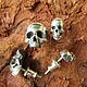 Заказать Серьги-пусеты Черепа большие, skull, череп, гвоздики. Сергей (Жук). Ярмарка Мастеров. . Серьги-пусеты Фото №3