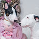 Retrato de juguete por fotografía Bull Terrier. Portrait Doll. artroombullibull. Ярмарка Мастеров.  Фото №5