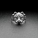 Кольцо Кот Химик. Кольца. AlexFox Jewelry. Интернет-магазин Ярмарка Мастеров.  Фото №2