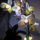 La flor de la lámpara de la orquídea phalaenopsis blanca. Table lamps. Elena Krasilnikova. Ярмарка Мастеров.  Фото №6