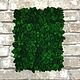 Panel made of real moss 30*40 cm, Natural materials, Belgorod,  Фото №1