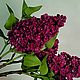 Сирень махровая из холодного фарфора. Цветы. Галина. Горький мёд.. Ярмарка Мастеров.  Фото №9