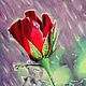Картина Роза под дождем, купить картину маслом в подарок, Картины, Мариуполь,  Фото №1