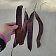 . Природные материалы. Семейные травы (Евгения). Интернет-магазин Ярмарка Мастеров.  Фото №2