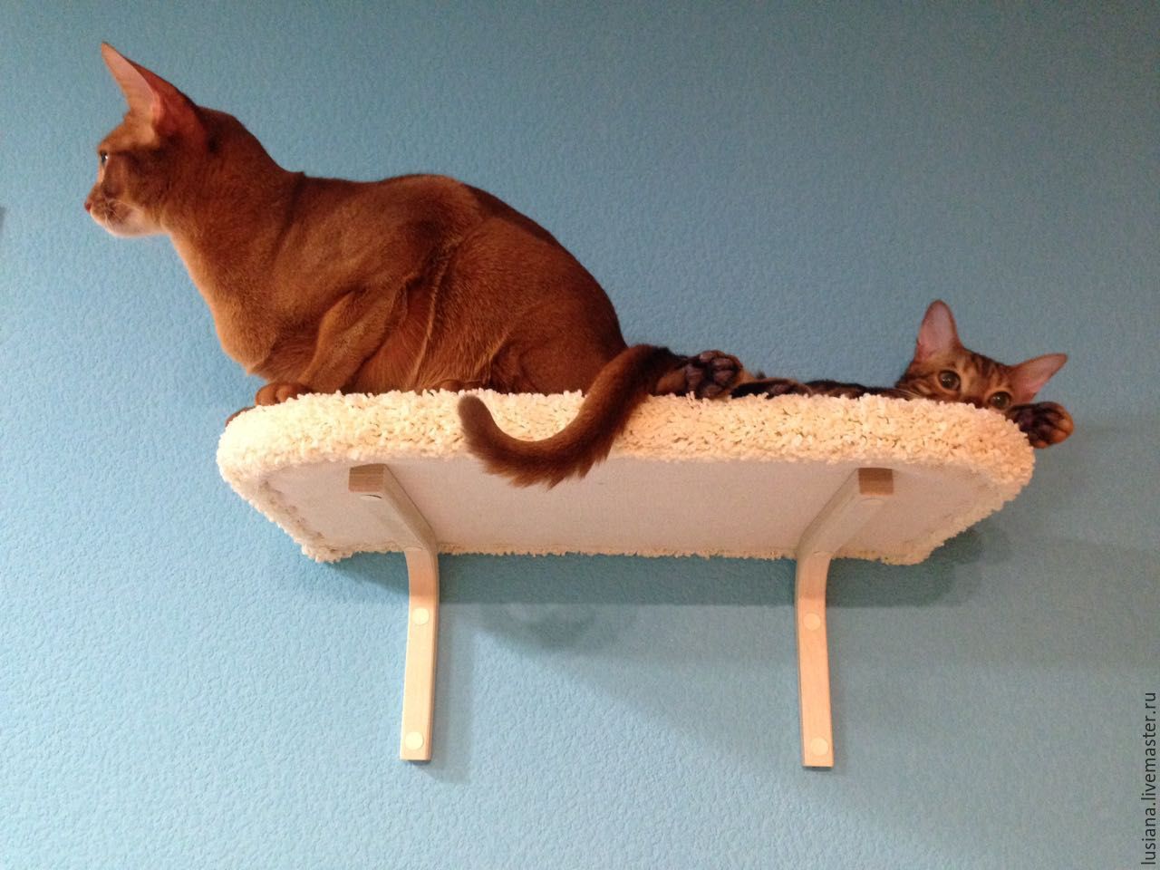 Лежак для кошки настенный
