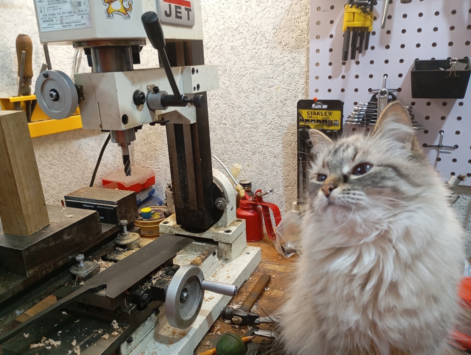 Мой профиль