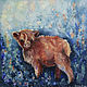 Shaggy Scottish calf oil Painting, Pictures, Moscow,  Фото №1
