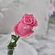 Silicone Shape Rosebud Blooming, Rose Athena. Form. Hobbypage. My Livemaster. Фото №4