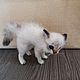 Котёнок валяный. Войлочная игрушка. Нина Ефремова. Ярмарка Мастеров.  Фото №4