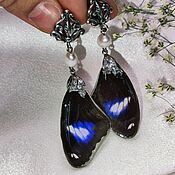 Contour earrings, pendant with a plant in jewelry resin