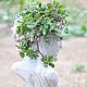Antique Girl's Bust-planter grey concrete moss aged. Flowerpots are garden. Decor concrete Azov Garden. My Livemaster. Фото №6