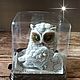 Soap Owl with ears, Soap, Moscow,  Фото №1