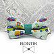 Bow tie children's Cars/ airplanes/ locomotives/ appliances. Butterflies. Galstuki babochki BONTIK (Natalya). Online shopping on My Livemaster.  Фото №2