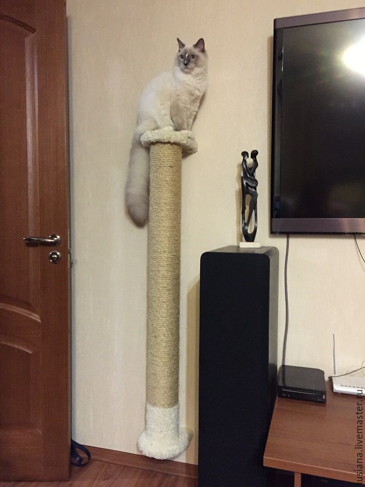 large cat scratching post