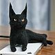 Black cat Maine Coon, Felted Toy, Moscow,  Фото №1