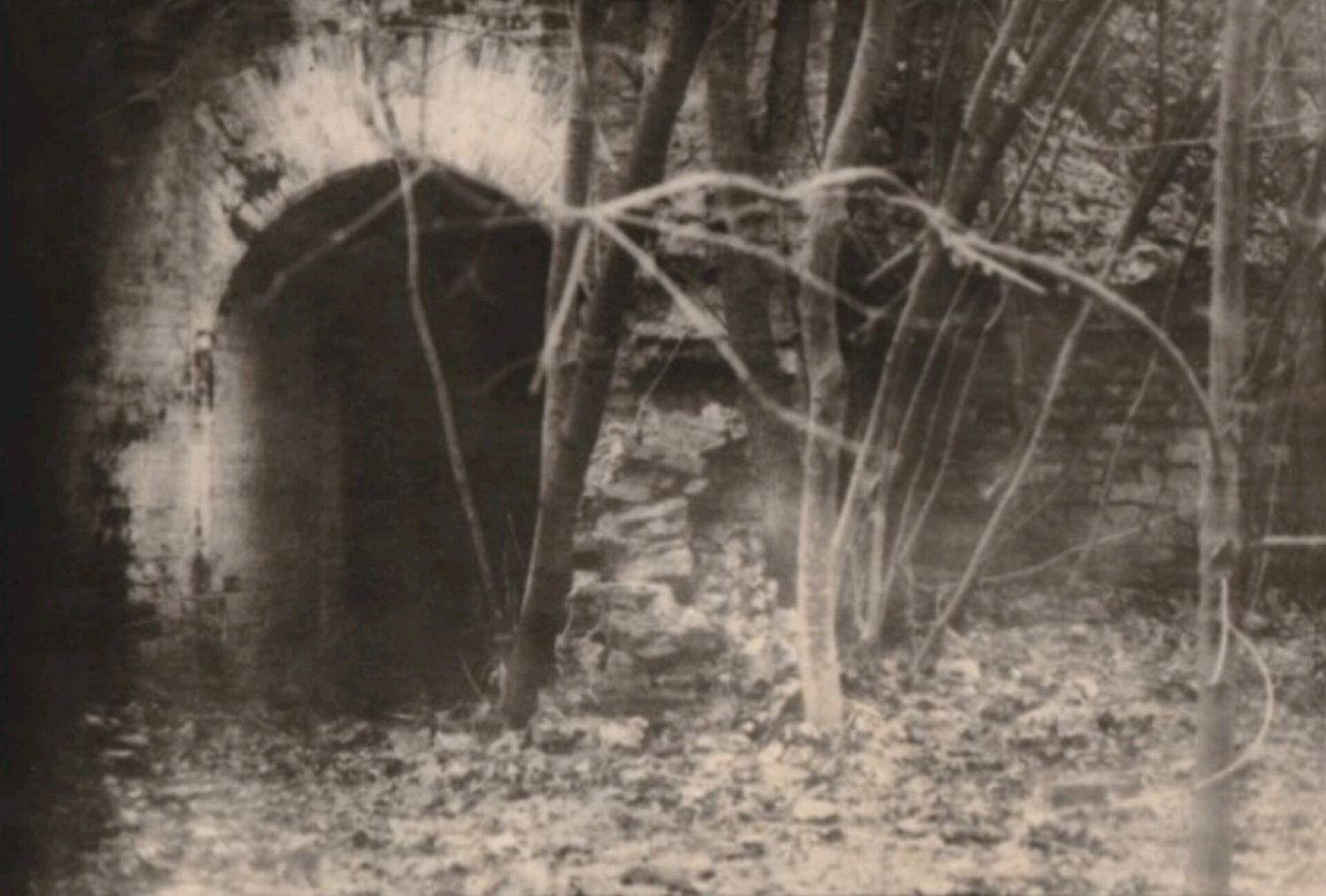 Аналоговая, пленочная, фотография "Secret Garden" купить в интернет ...