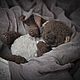 Васяя. Мягкие игрушки. Kristina & Soul Bear (Familial Values). Интернет-магазин Ярмарка Мастеров.  Фото №2