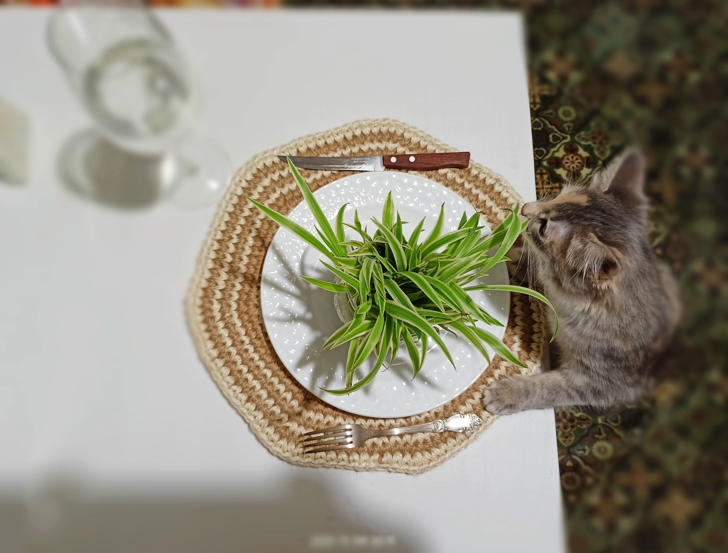 Мой профиль