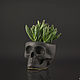 Planters made of concrete 'Skull'. Pots1. skult. Online shopping on My Livemaster.  Фото №2
