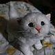 Котёнок. Игрушка ручной работы. Игрушки. Шерстинка(валяные игрушки, картины, вязаные подушки, гобелены).. Ярмарка Мастеров.  Фото №9
