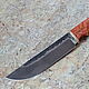 Knife 'Taj-2' pchak cord h12mf stab.karelka. Knives. Artesaos e Fortuna. My Livemaster. Фото №4