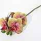 Винтаж: Villeroy & Boch орхидеи Artifical Flowers. Предметы интерьера винтажные. Подвальчик замка Штоссберг. Интернет-магазин Ярмарка Мастеров.  Фото №2