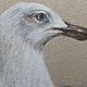  ' Seagull' pastel and charcoal painting. Pictures. flamemilady. My Livemaster. Фото №4