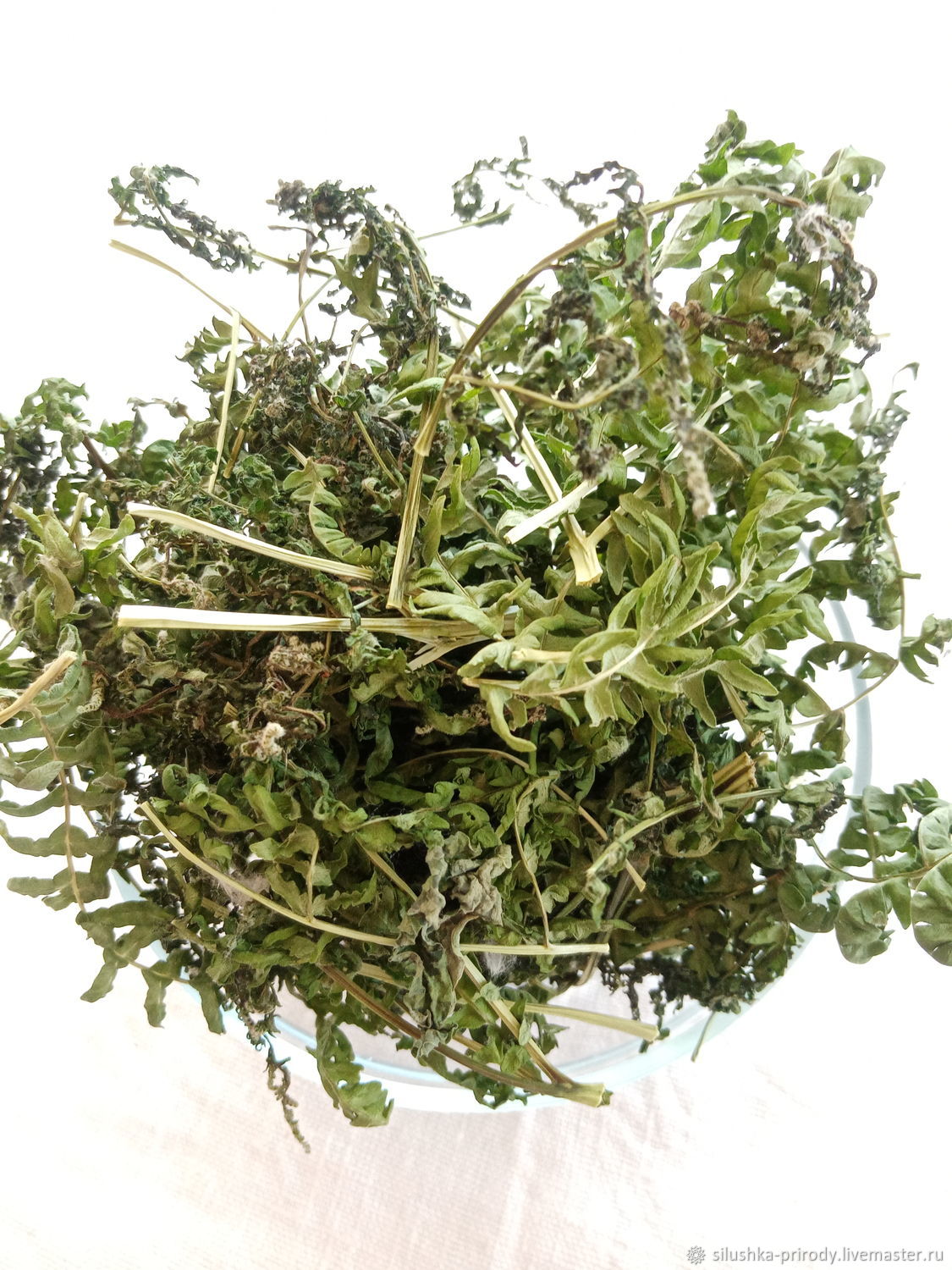 Травы: Папоротник орляк. Сбор 2023 г купить в интернет-магазине Ярмарка ...