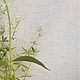 Лен с хлопком, натуральный цвет льна, ширина 150 см, Ткани, Нижний Новгород,  Фото №1
