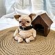 Лаки, чихуахуа в ошейнике, с будкой. Тедди Зверята. teddy.toy.for.you. Интернет-магазин Ярмарка Мастеров.  Фото №2