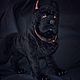 Soft toys: Cane Corso - The Black Lord. Stuffed Toys. Teddybeasts. My Livemaster. Фото №5