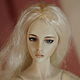 (bjd) фарфоровая шарнирная кукла Gentle Creation  – Sasha, Шарнирная кукла, Москва,  Фото №1