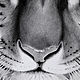 Заказать Картина тигр с зелеными глазами, бумага, карандаш. Картины Вестниковой Екатерины. Ярмарка Мастеров. . Картины Фото №3