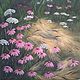  Цветущие травы, Картины, Солнечногорск,  Фото №1