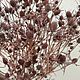Эрингиум коричнево-фиолетовый. Цветы сухие и стабилизированные. Pampas.flowers (Алëна). Интернет-магазин Ярмарка Мастеров.  Фото №2