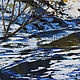  Солнце в холодной воде, Картины, Тверь,  Фото №1