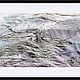 Заказать Авторская фотография #11-2 из серии "Ботаника". Nowembras_Art (Наталья Яковлева). Ярмарка Мастеров. . Фотокартины Фото №3