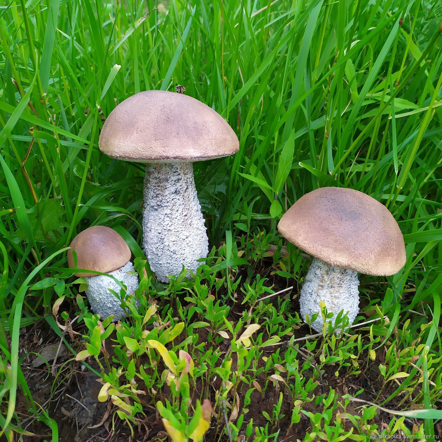 Муляжи грибов