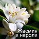 Мыло для умывания НЕРОЛИ И ЖАСМИН натуральное молочное ТАЙГАВОДА. Мыло. КУДЕСНИЦА натуральное мыло косметика. Интернет-магазин Ярмарка Мастеров.  Фото №2