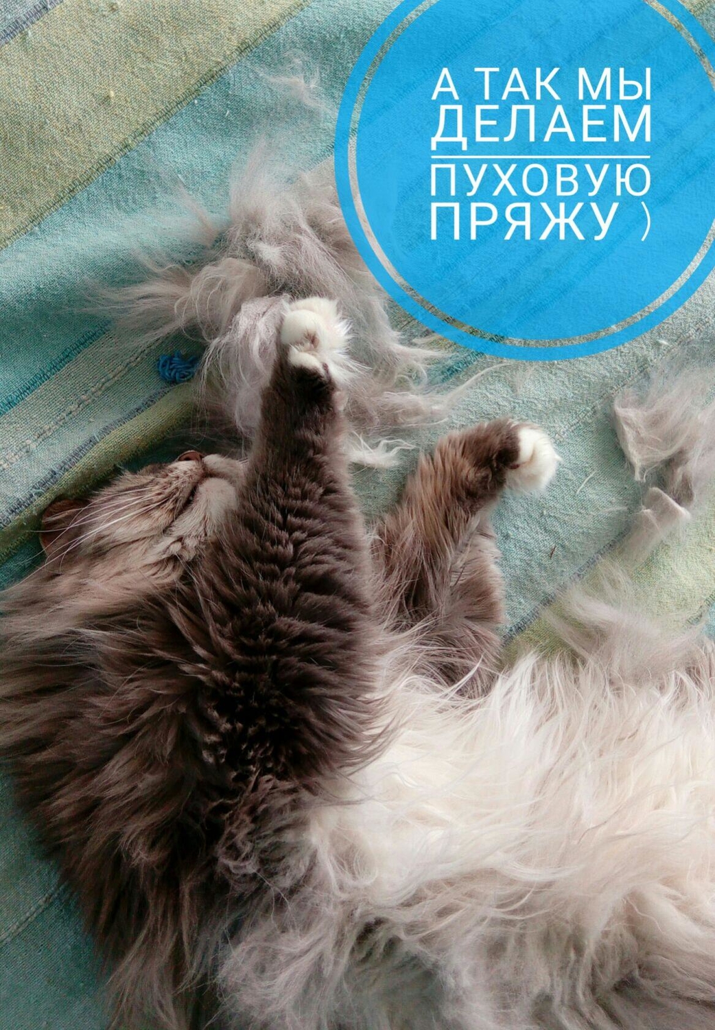 Мой профиль