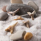 Fossilized shark tooth 20-30 mm 5 pcs, Folk decorations, Tambov,  Фото №1