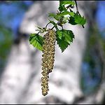 Татьяна - Ярмарка Мастеров - ручная работа, handmade