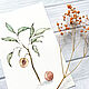 'Peach' watercolor painting (green, flowers, plants), Pictures, Korsakov,  Фото №1