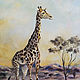 Giraffe oil painting Africa, Pictures, Moscow,  Фото №1