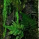 Fotokartin of stabilized moss and plants. Fitokartins. Антонина Литовкина - Озеленение (Планета Флористики). Online shopping on My Livemaster.  Фото №2