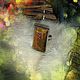 Руническое кольцо «ЯСНОВИДЕНИЕ». Оберег. Magic shop  'Miracles'. Интернет-магазин Ярмарка Мастеров.  Фото №2