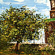Oil painting of My town. Museum of Decembrists Church. Pictures. Zabaikalie. My Livemaster. Фото №4