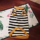 Order Clothing for cats ' t-shirt-Striped charm'. Happy-sphynx. Livemaster. . Pet clothes Фото №3