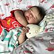 Кукла-реборн (realborn Ana sleeping by bountiful baby). Куклы Reborn. Наталья Мишенина  (Buzdalina). Ярмарка Мастеров.  Фото №5